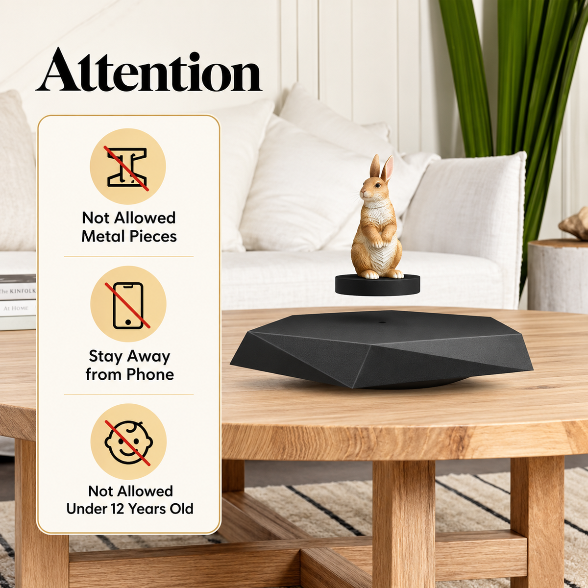 Magnetic Levitating Display Stand