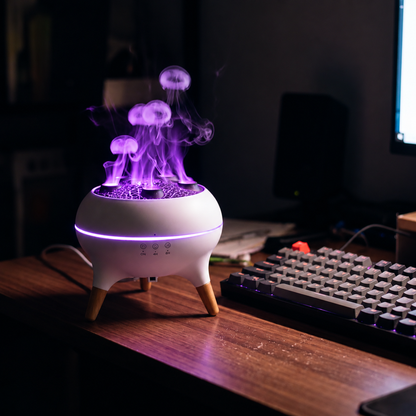 Essential Oil Diffuser & Air Humidifier